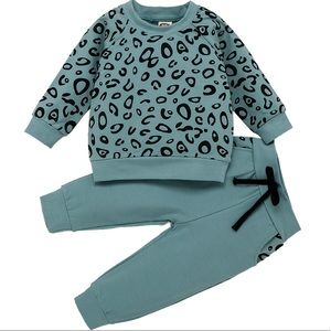Teal Leopard Sweater Set